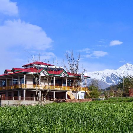 Bir Nest Hostel Luaran gambar