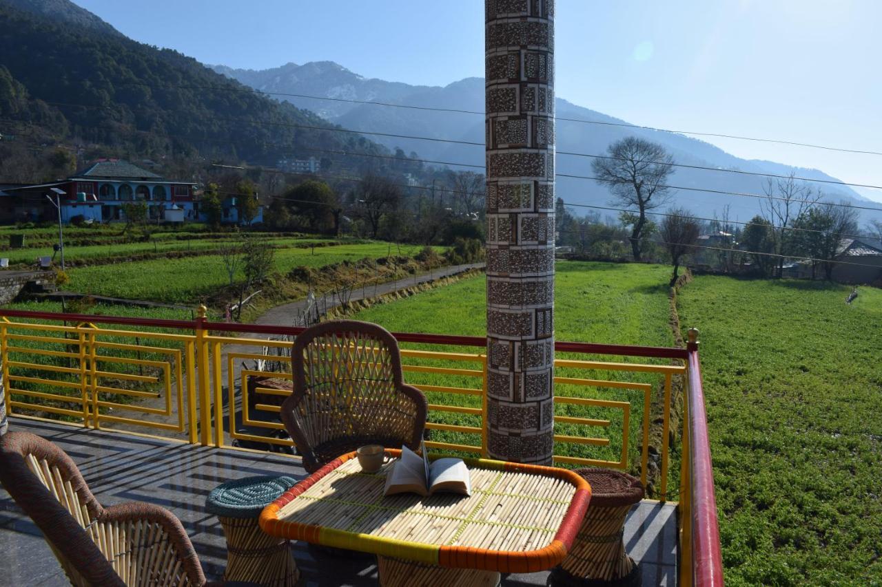 Bir Nest Hostel Luaran gambar