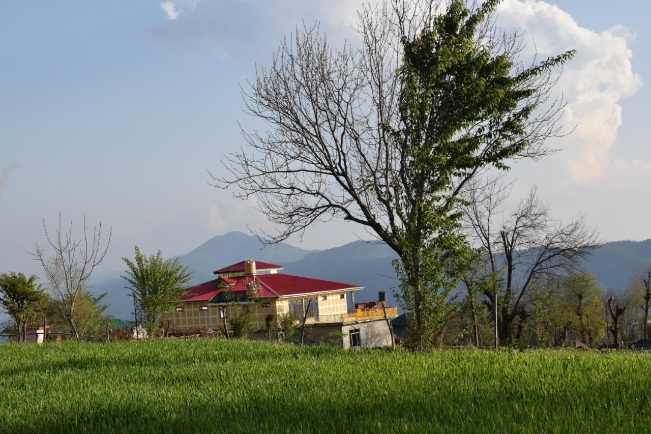 Bir Nest Hostel Luaran gambar