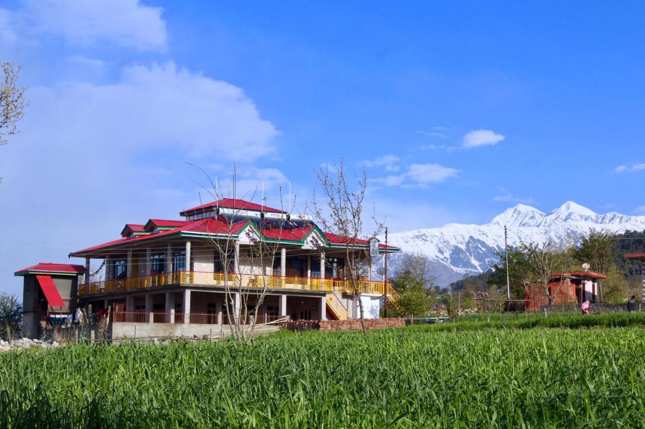 Bir Nest Hostel Luaran gambar